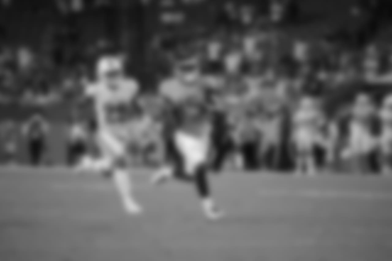 best2018dolphins247412