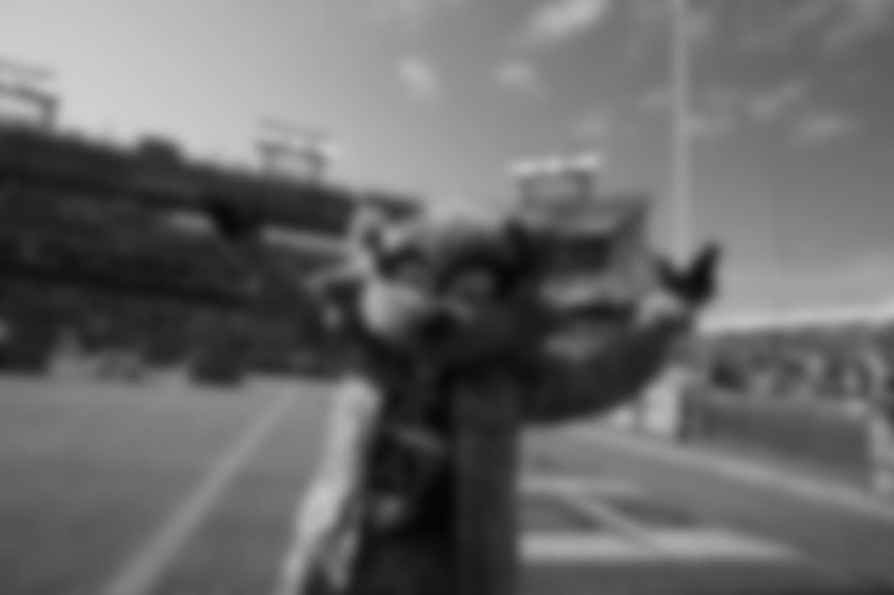 pre2018patriots460181