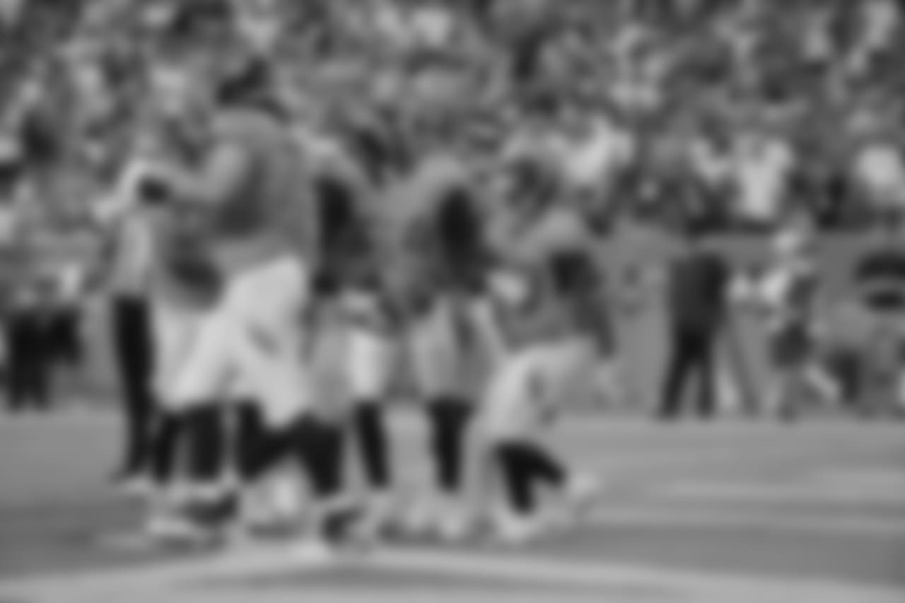 best2018dolphins247398