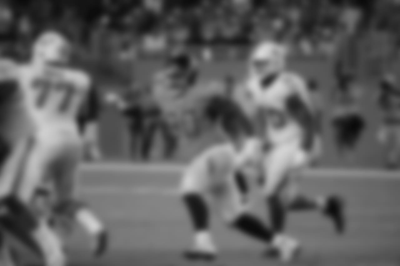 best2018dolphins147370