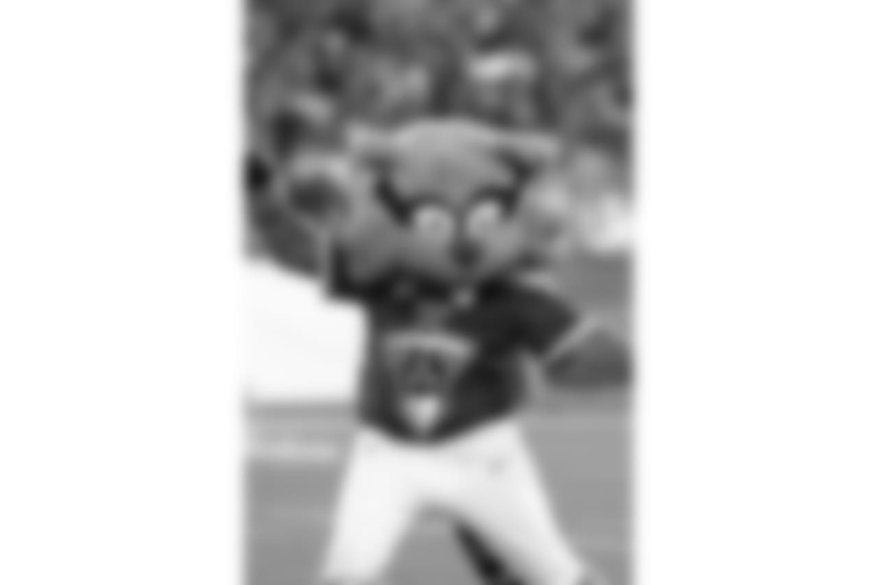 titans2018jets-cheer263401