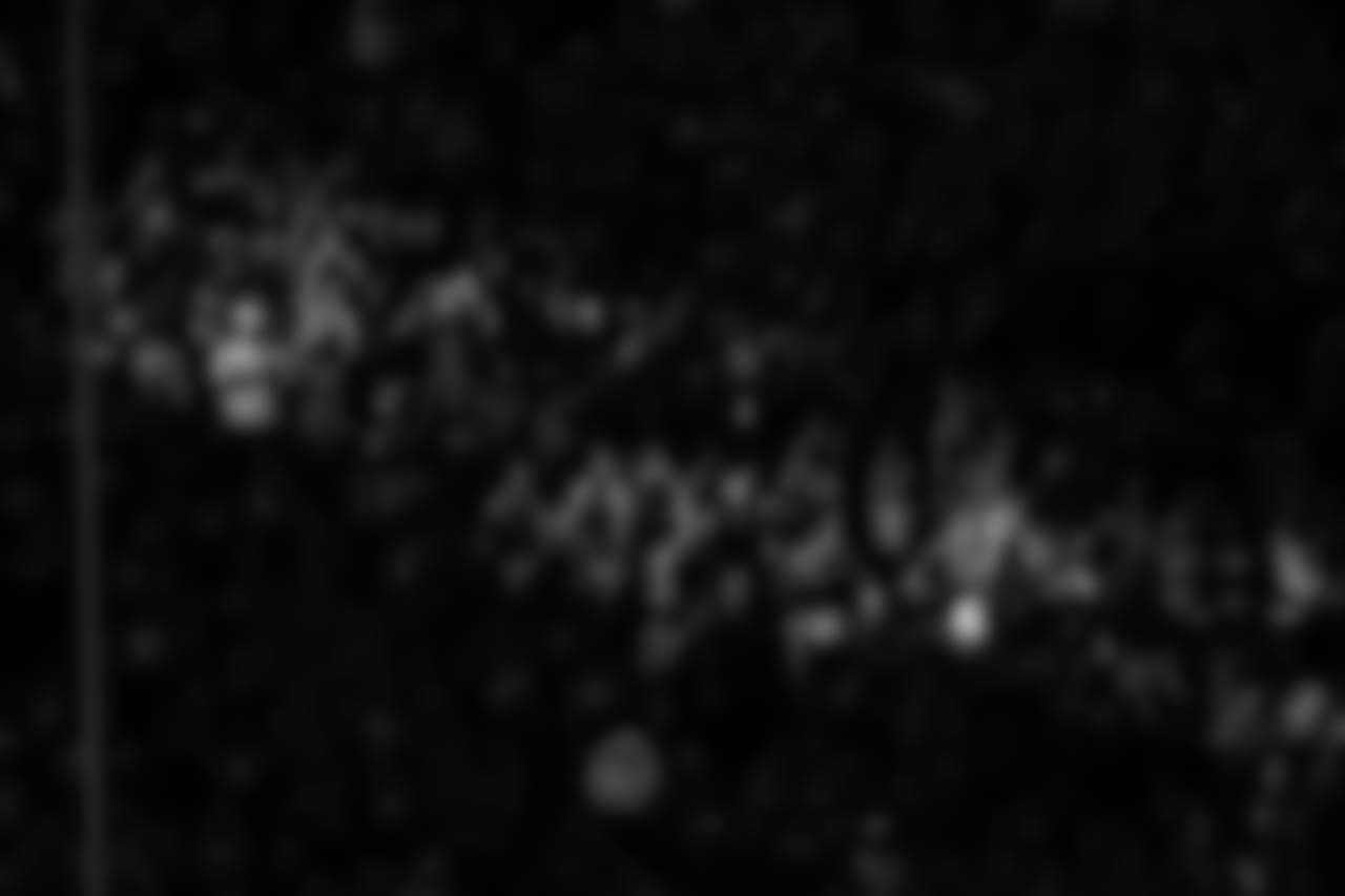 AK3_3419
