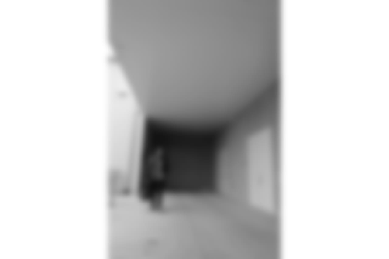 L1620558