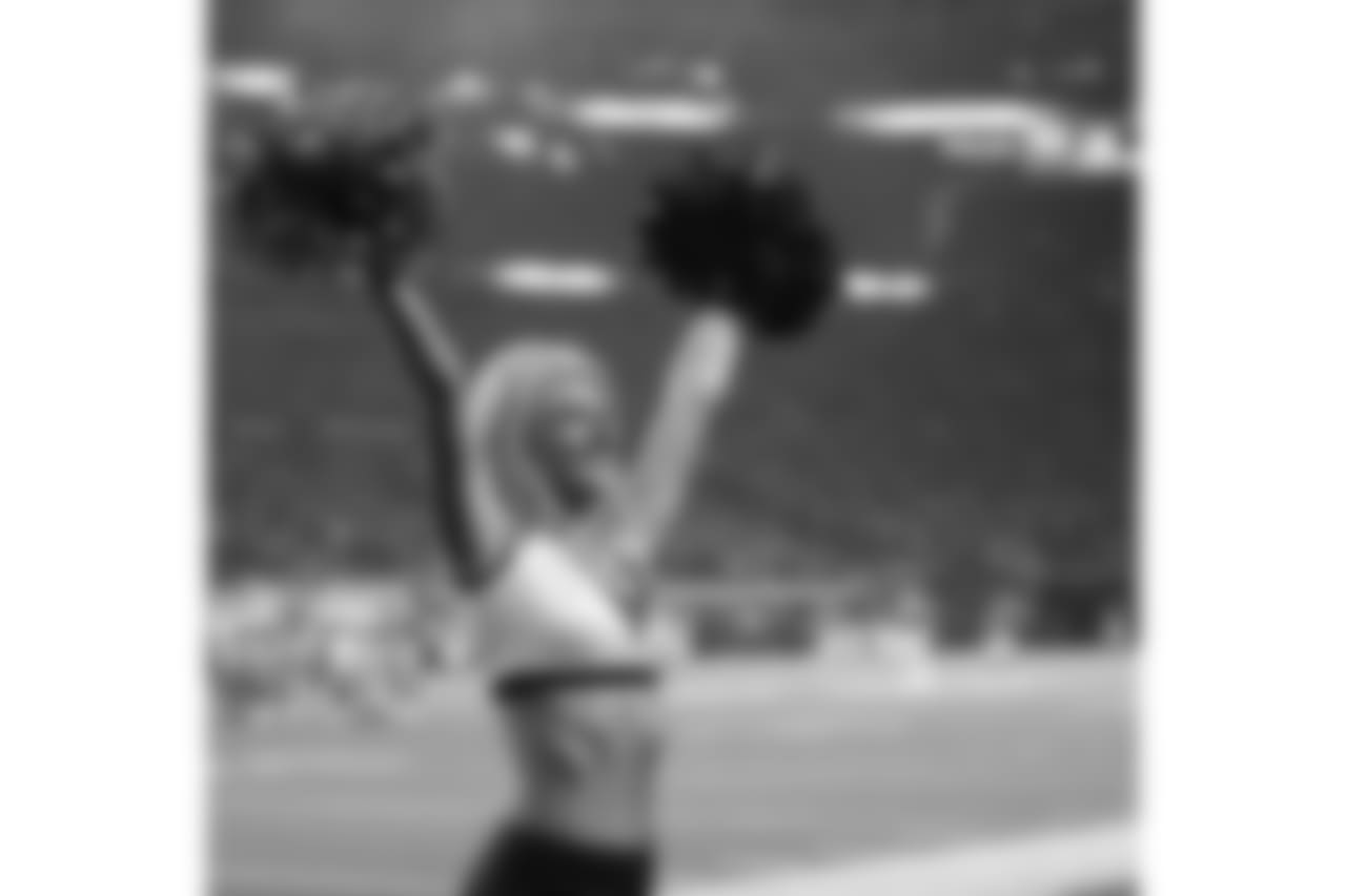 An image from November 25, 2018 regular season home game against the Green Bay Packers. The Vikings won 24-17.