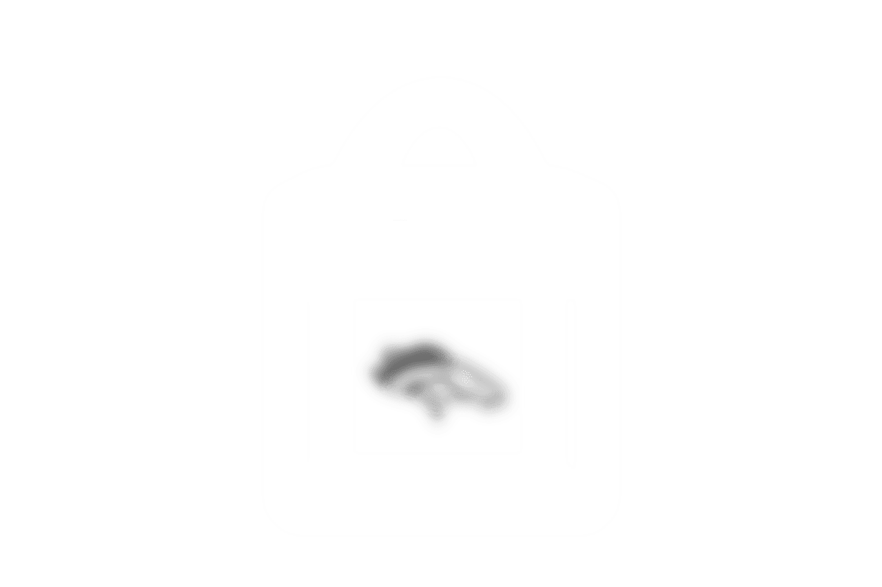 clear bag policy: icon wide