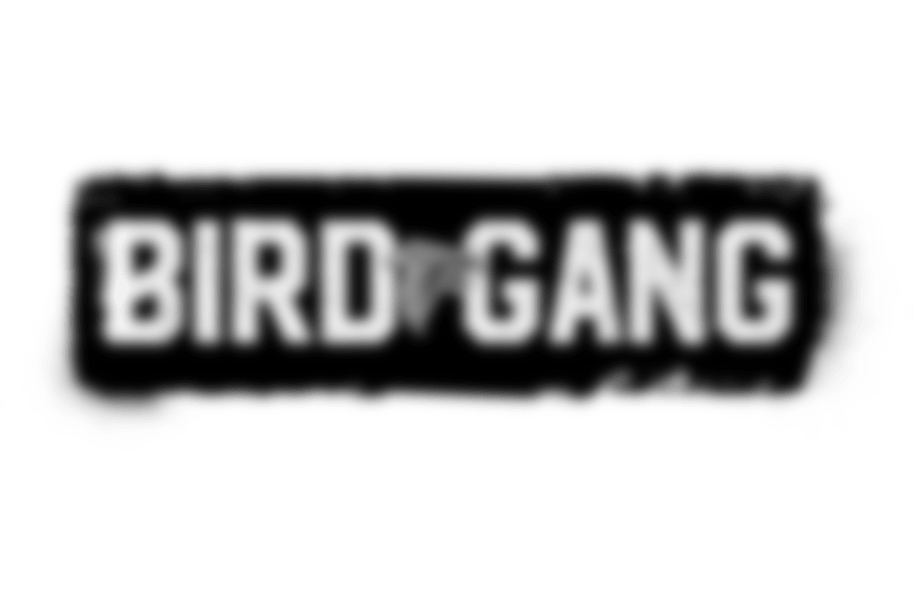 BIRDGANG_v3C copy