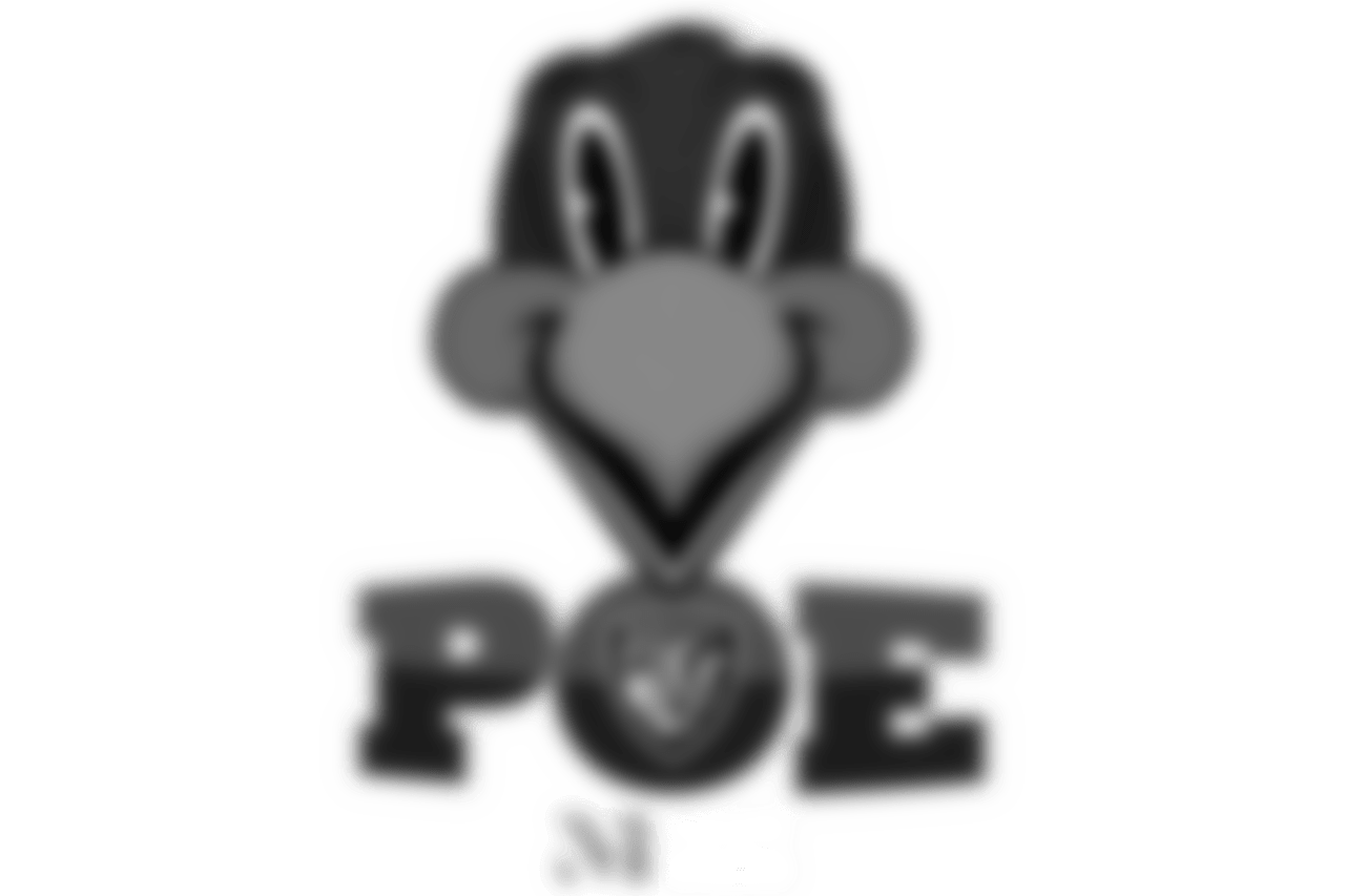 Ravens Mascots Baltimore Ravens