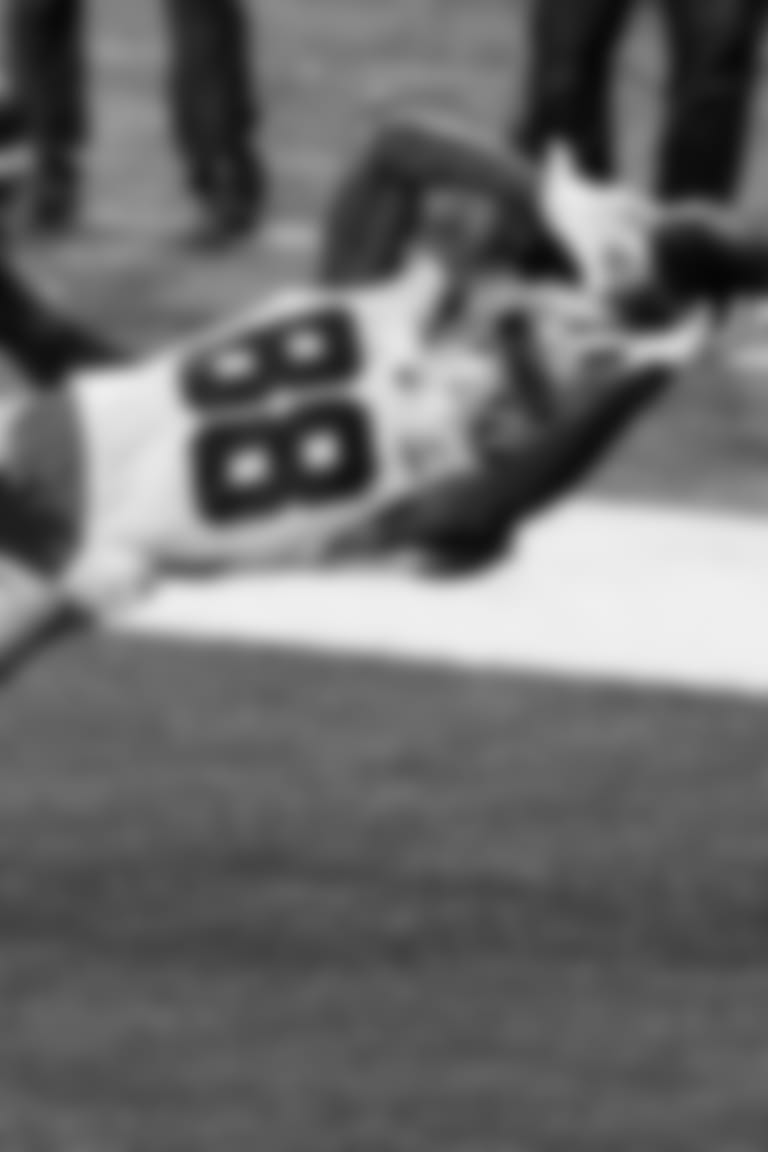 copy of Updates-CeeDee-Has-Incredible-Catch;-Sets-Record-hero