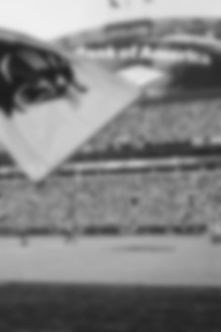Carolina Panthers against the Atlanta Falcons at Bank of American Stadium on Sunday, November 5, 2017 in Charlotte, NC.