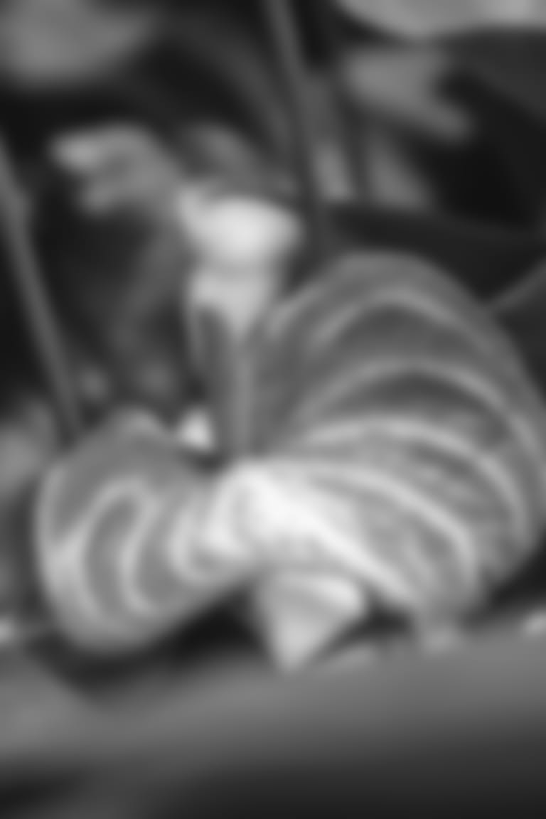 210506-aapi-garden-10