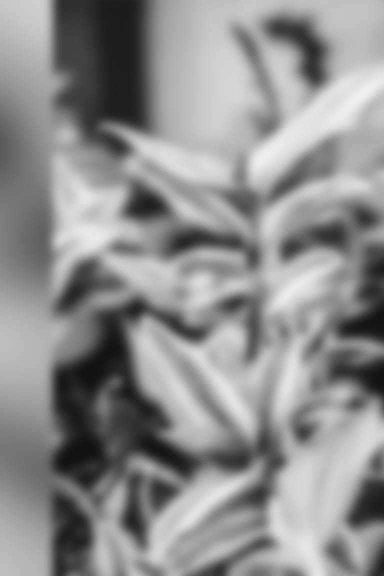 210506-aapi-garden-03