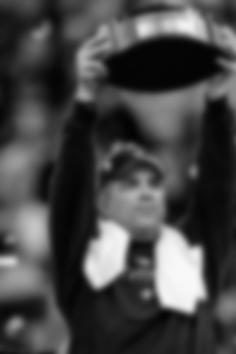 payton-timeline--2009_nfc_champ