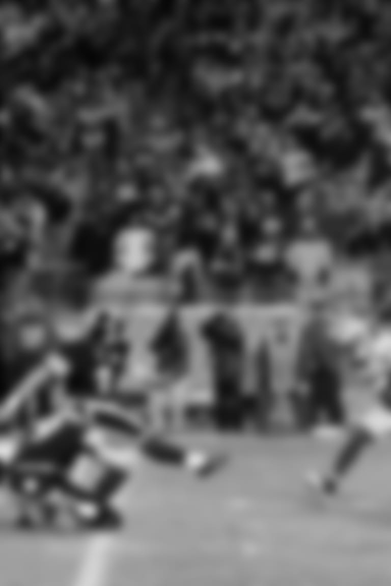 Parallax_Steelers_Packers_2009-12-20_Reed_Jeff