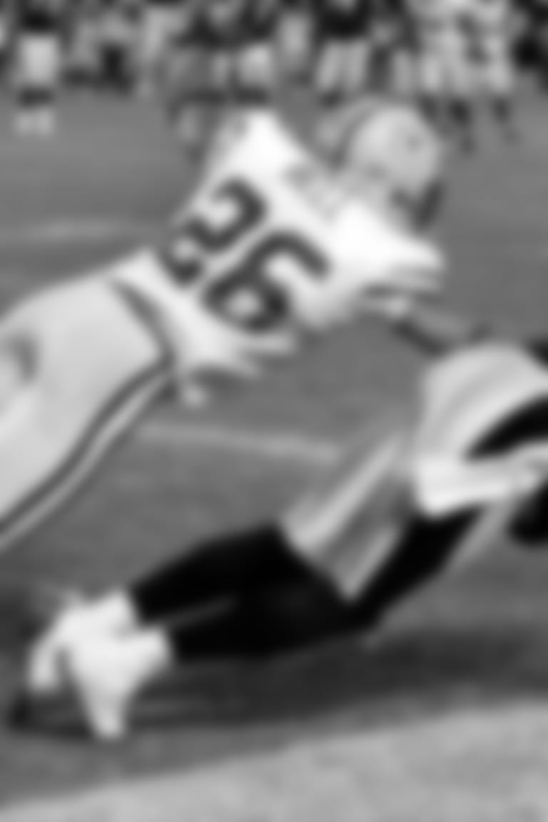 Parallax_Steelers_Packers_2009-12-20_Wallace_Mike_002