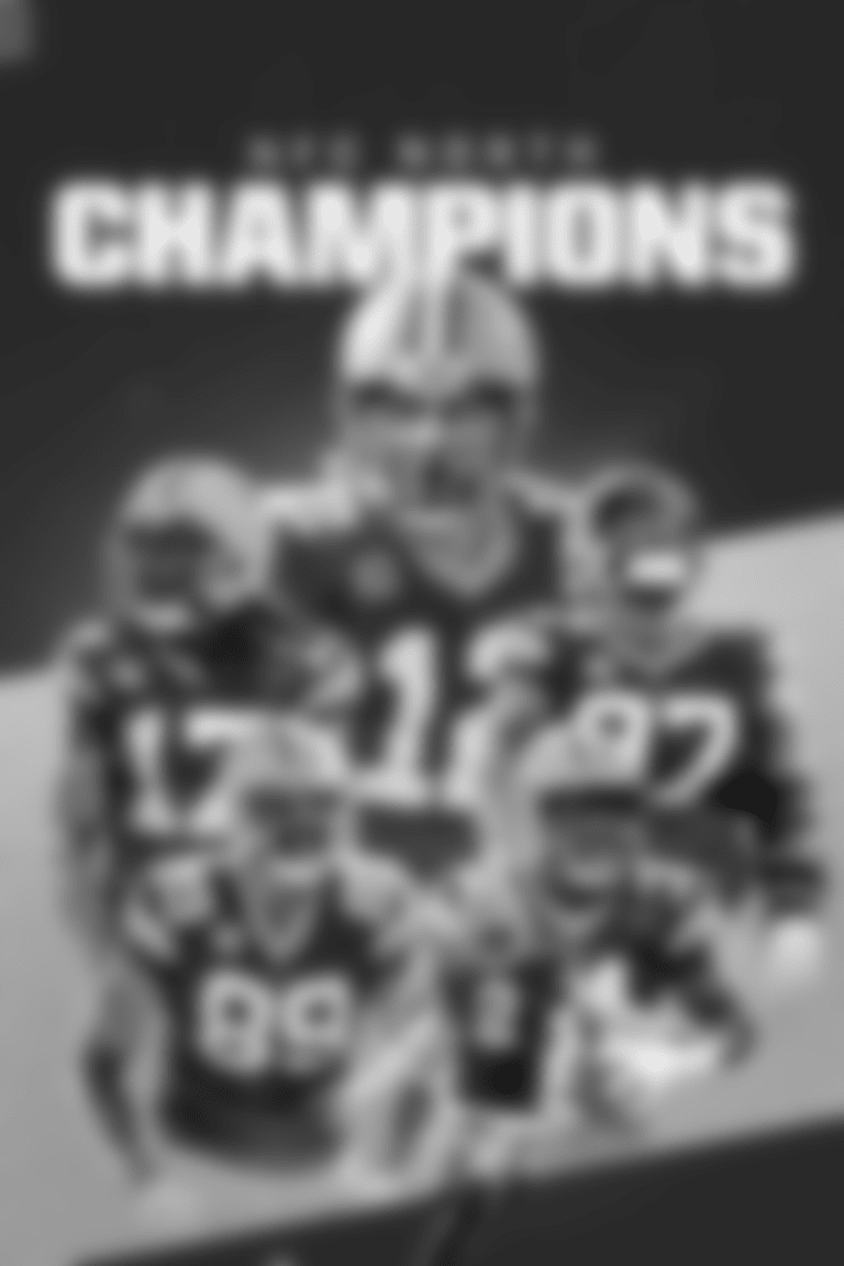 NFC North Champions