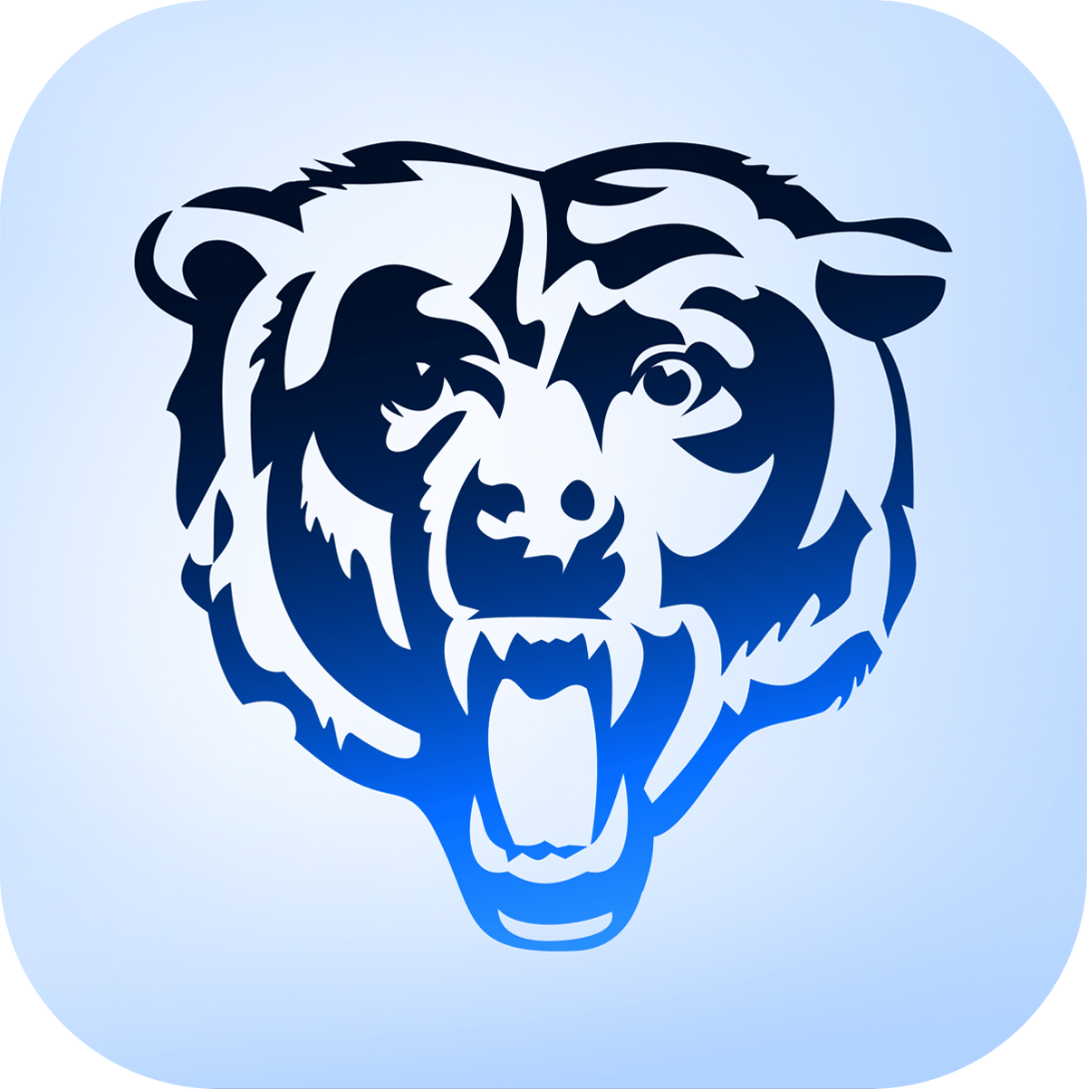 chicago bears com