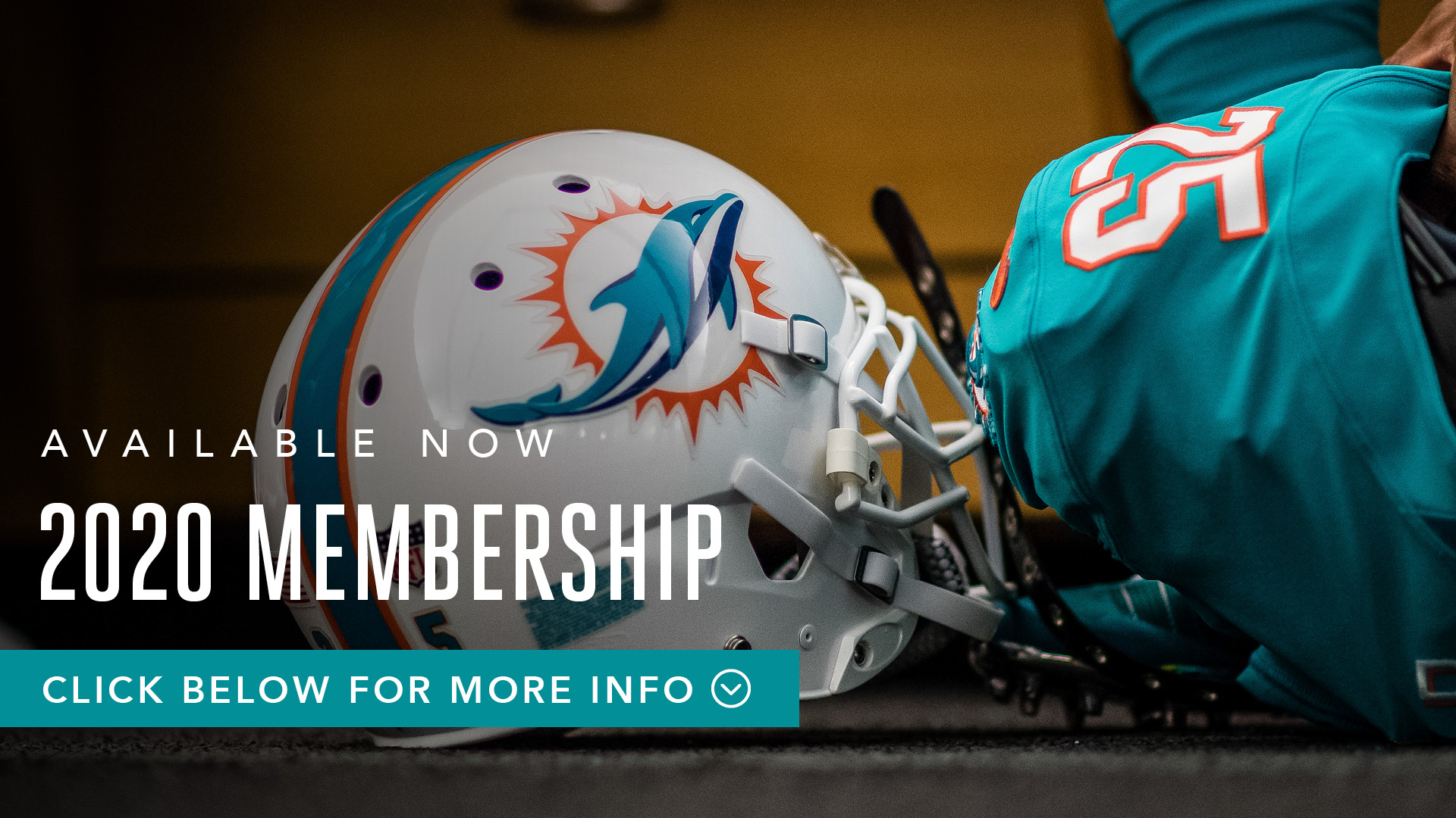 Dolphins Tickets 2024 Discount Kial Selina