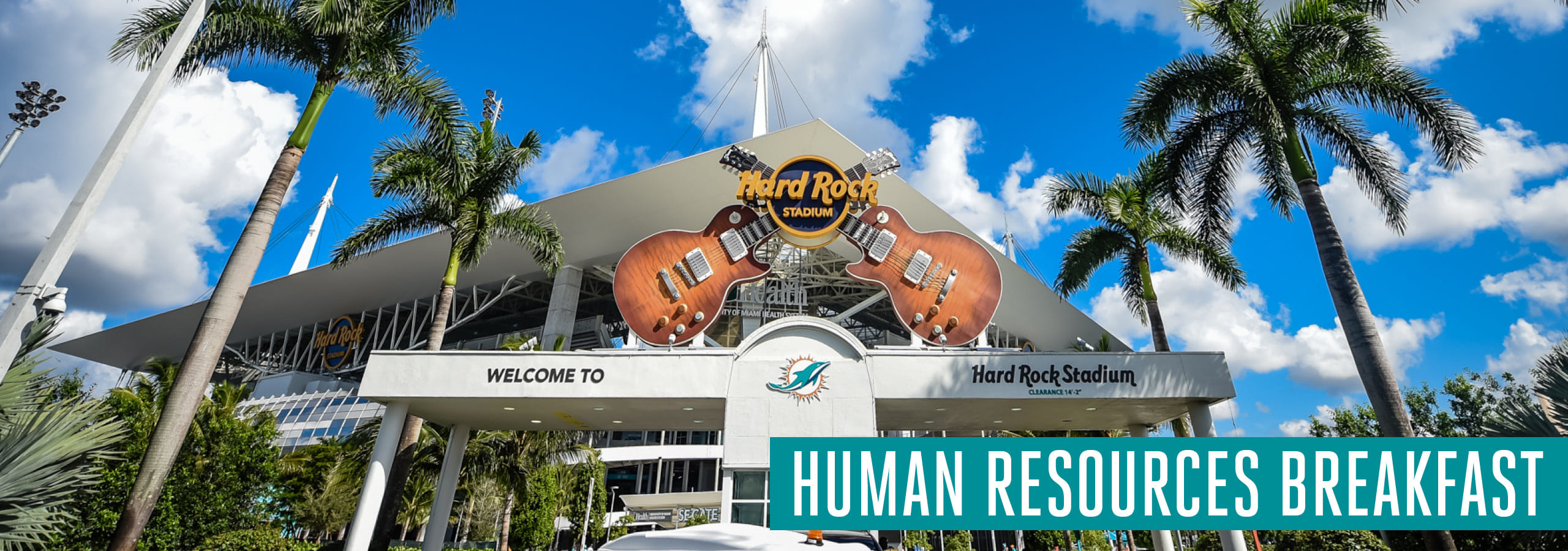 Miami Dolphins