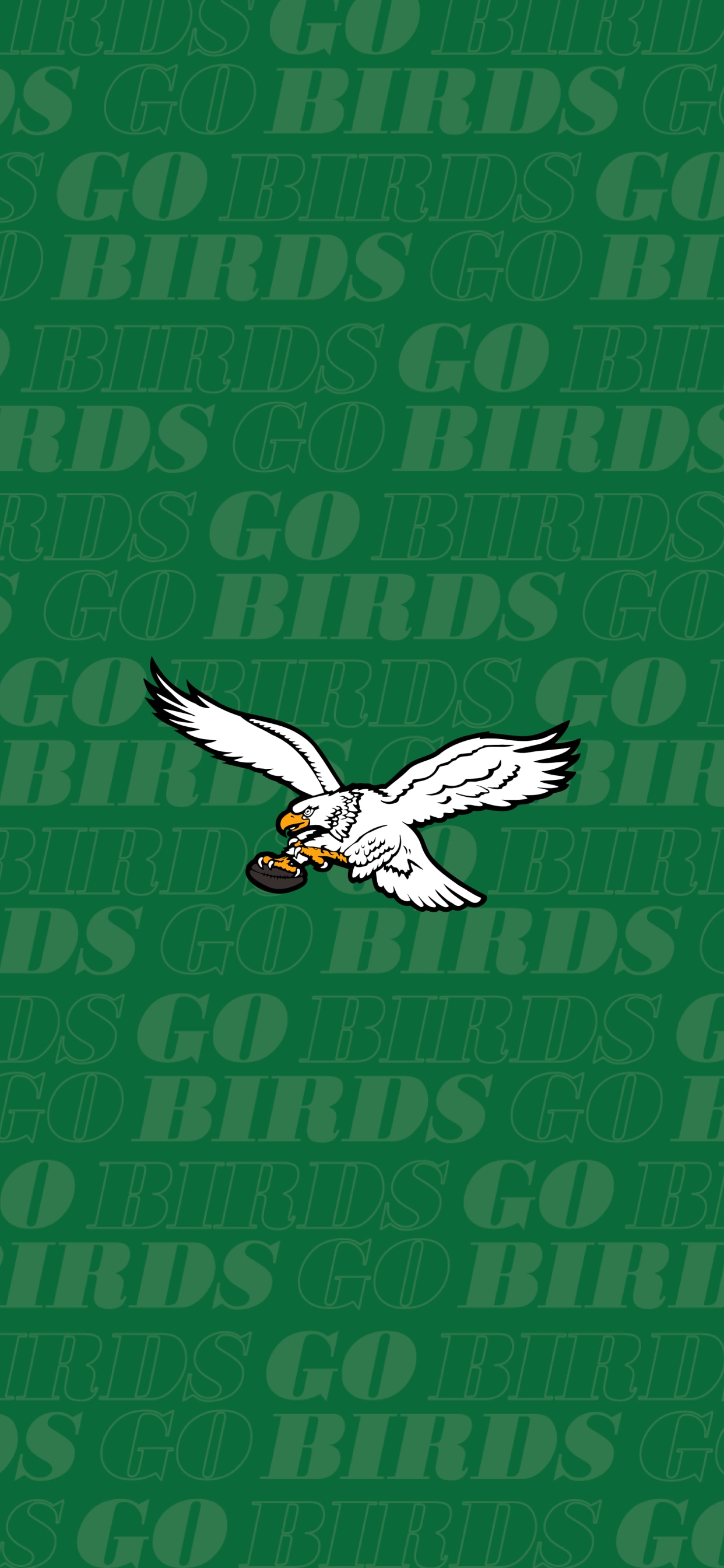 Go Birds  Philadelphia eagles, Nfl philadelphia eagles, Eagles