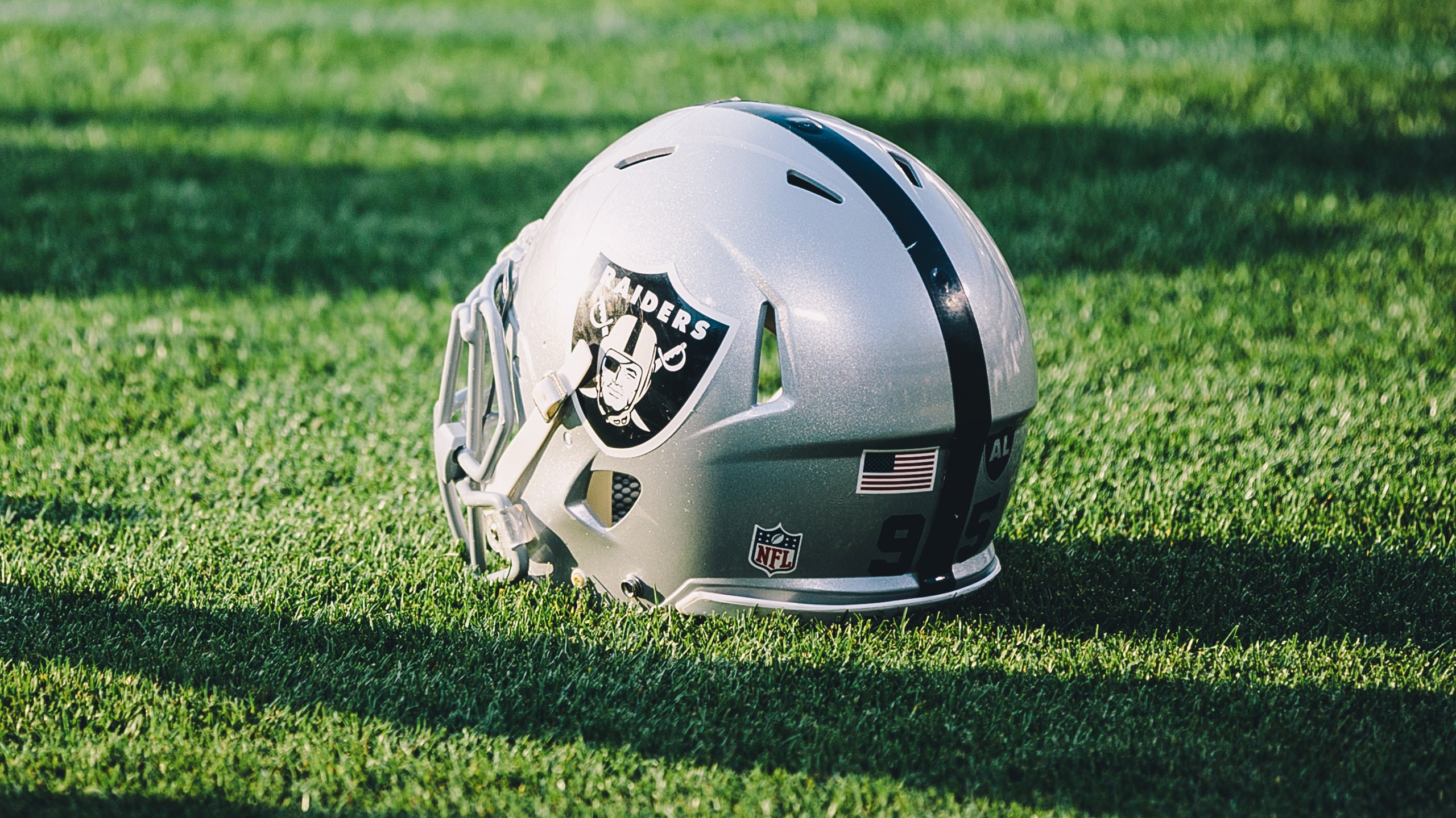 Las Vegas Raiders Virtual Venue™ by IOMEDIA