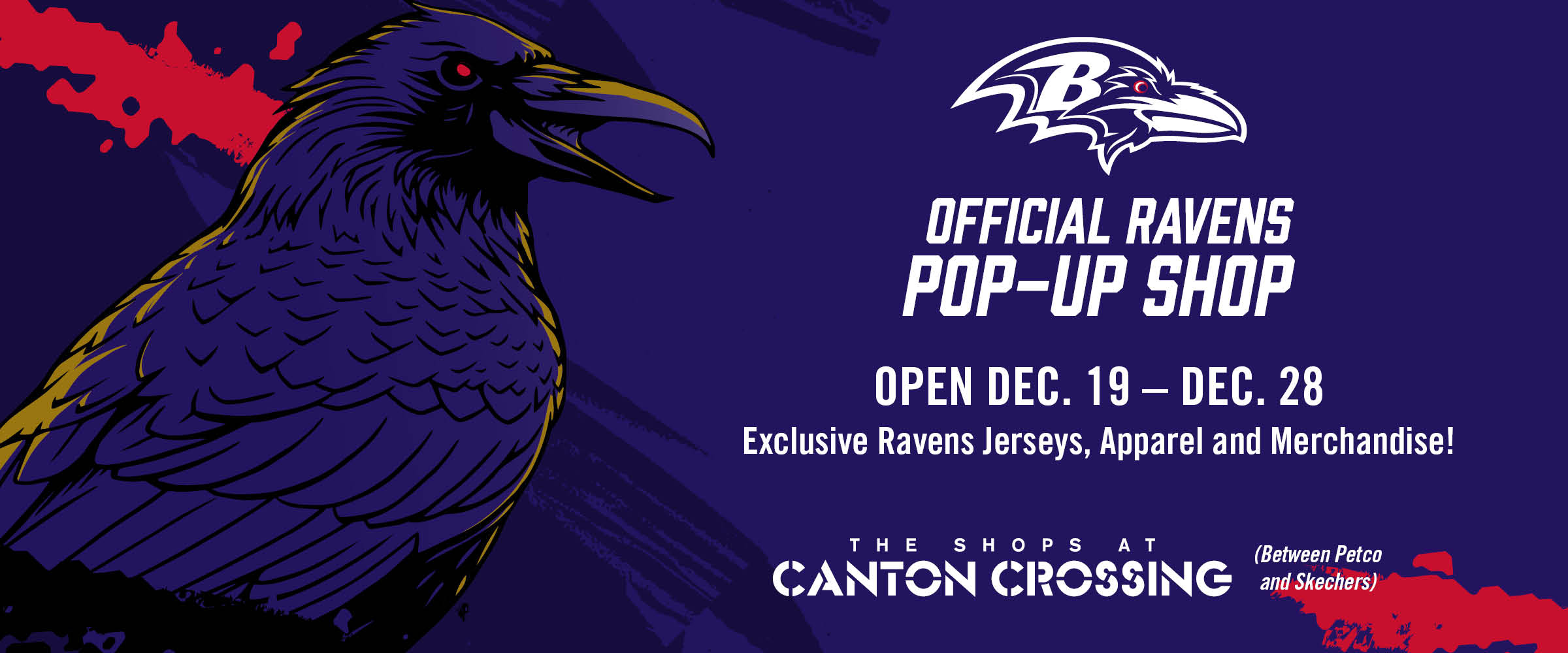 baltimore ravens pop