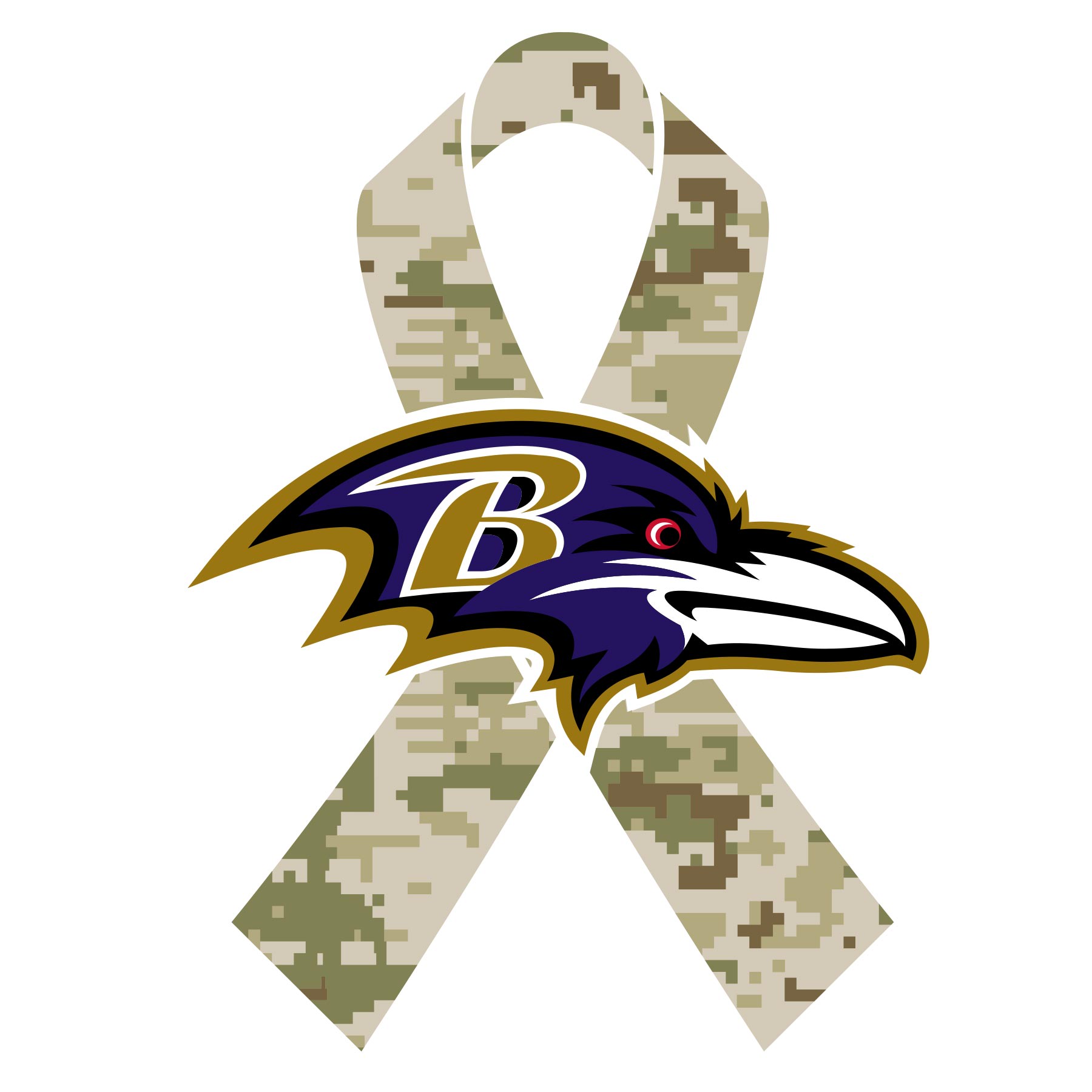 ravens salute to service