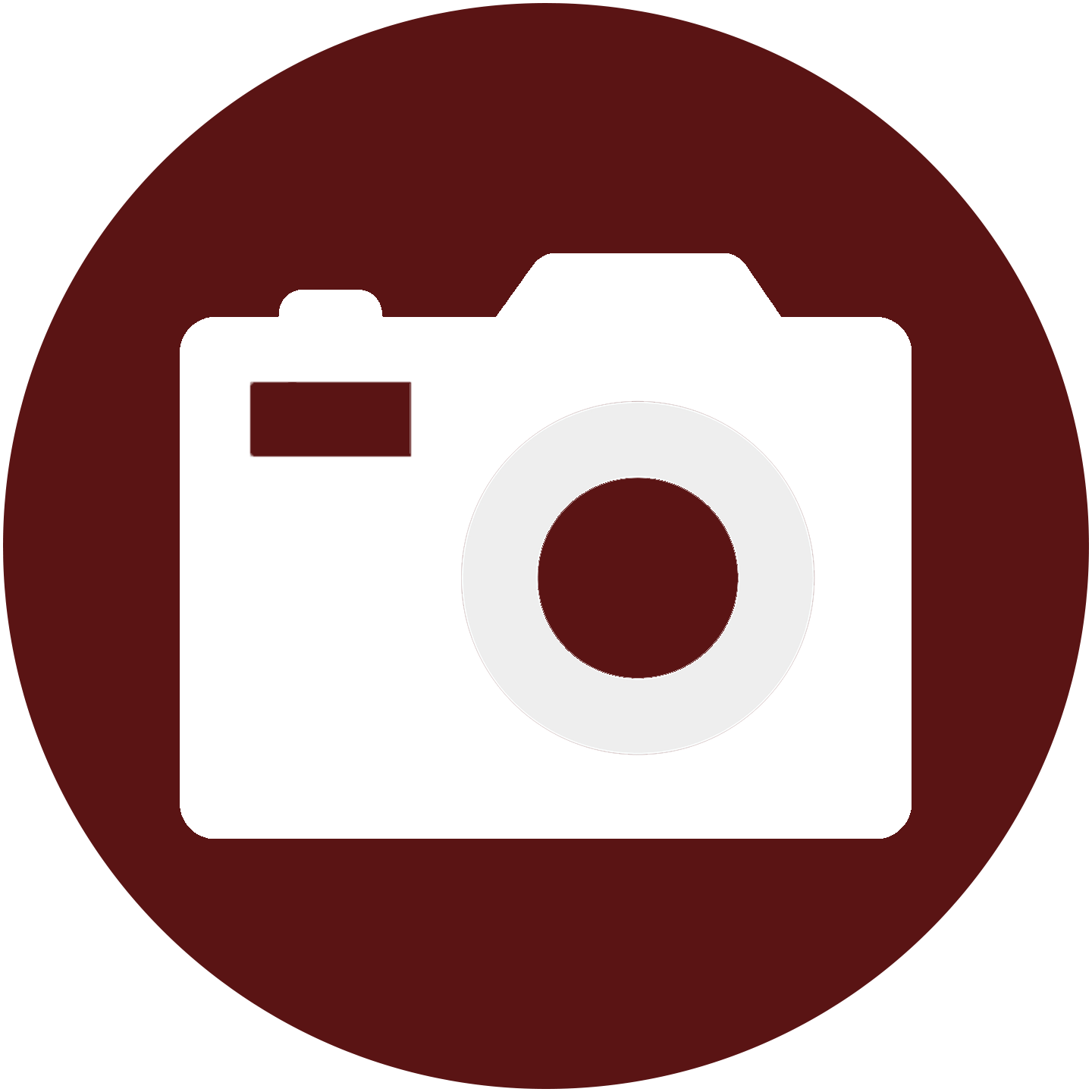 camera-icon