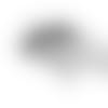 broncos_logo_web