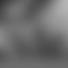 LAC_2019_Podcast_Thumbnail_CW_081419