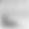 LB%20Audio_V2.mp4