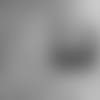 Hangin122820-thumb