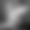 Marinelli011219-thumb