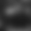 Garrett_12_20_19.mp4