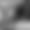 Whys-There-So-Much-Buzz-About-JonVea-Johnson-hero