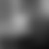 C4111019-thumb