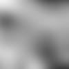 Star-Evaluation-Zack-Martins-Got-Guts-thumb