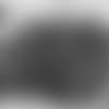 10_22_2018_DCC_Photo_Shoot.mp4