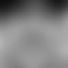 Tyrone-Crawford--We-Just-Got-Three-Beasts-thumb