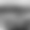 Market-at-The-Star-2019-thumb