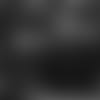 Garrett_12_27_19.mp4