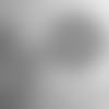 Draft121520-thumb