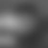 89Jarwin010219.mp4