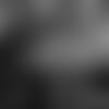 C4111119-thumb