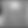 DCC%20Calendar%20Release.mp4