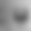 Hangin121720-thumb