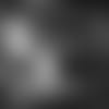 INSIDER%20FOR%20WEB_13.mp4
