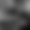 C4102119-thumb