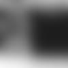 AgreedtoTerms- SSmith_web