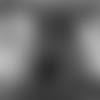 BSWH_LaylaStout_V6.mp4