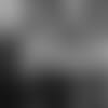C4110819thumb
